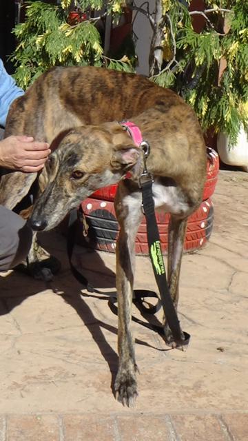 multimedia-foto40203-673-3