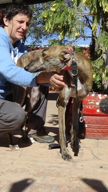 multimedia-foto40206-673-3