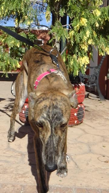 multimedia-foto40207-673-3