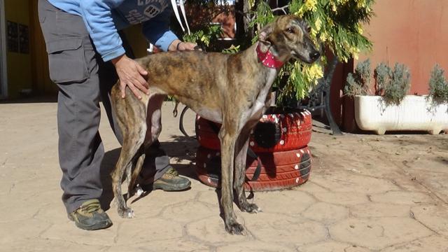 multimedia-foto40210-674-3