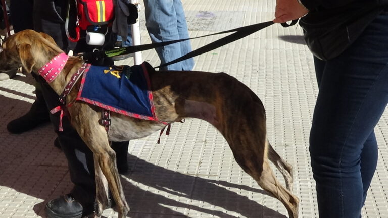 multimedia-foto40211-717-3