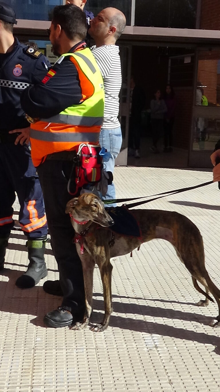 multimedia-foto40212-717-3