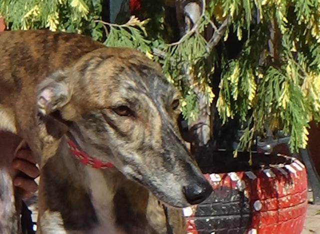 multimedia-foto40214-718-3