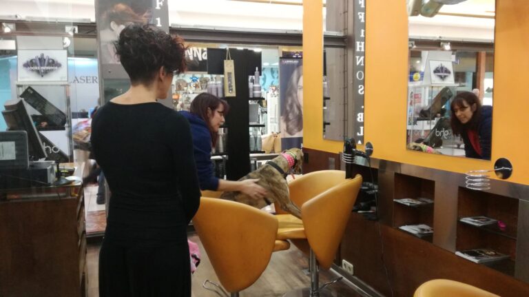 multimedia-foto40215-738-3