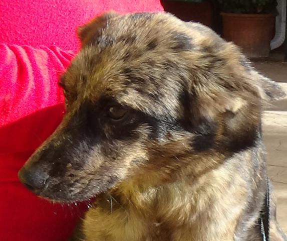 multimedia-foto40228-367-3