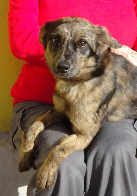 multimedia-foto40229-367-3