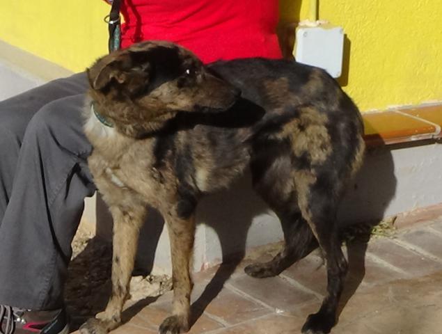 multimedia-foto40230-368-3