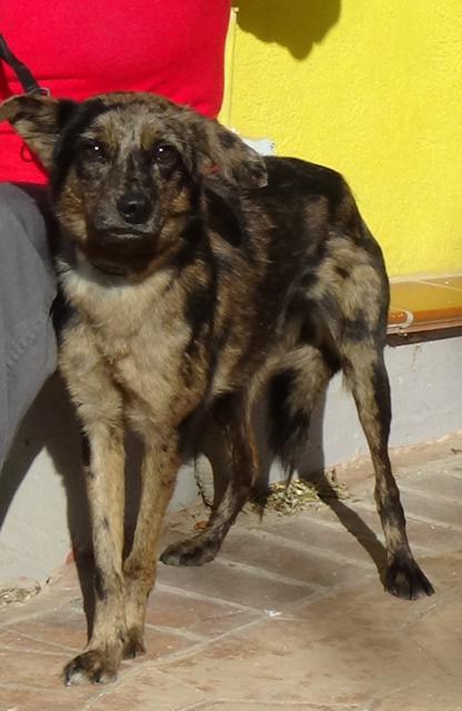 multimedia-foto40231-368-3