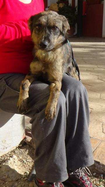 multimedia-foto40232-368-3