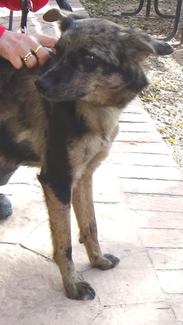 multimedia-foto40233-368-3