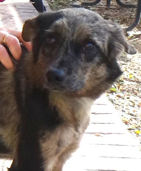 multimedia-foto40234-368-3