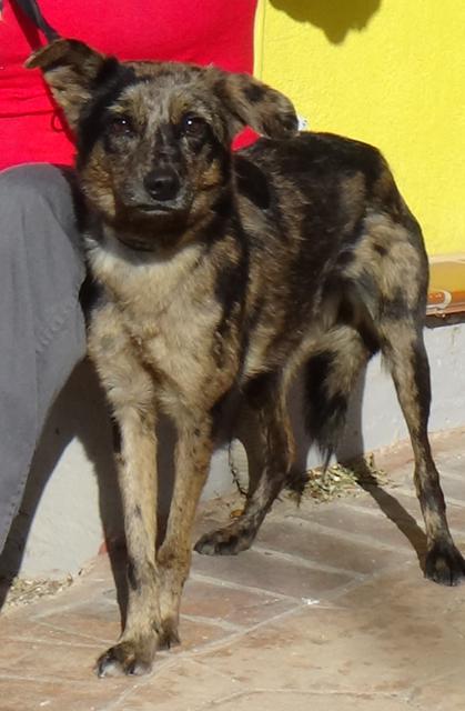 multimedia-foto40235-368-3