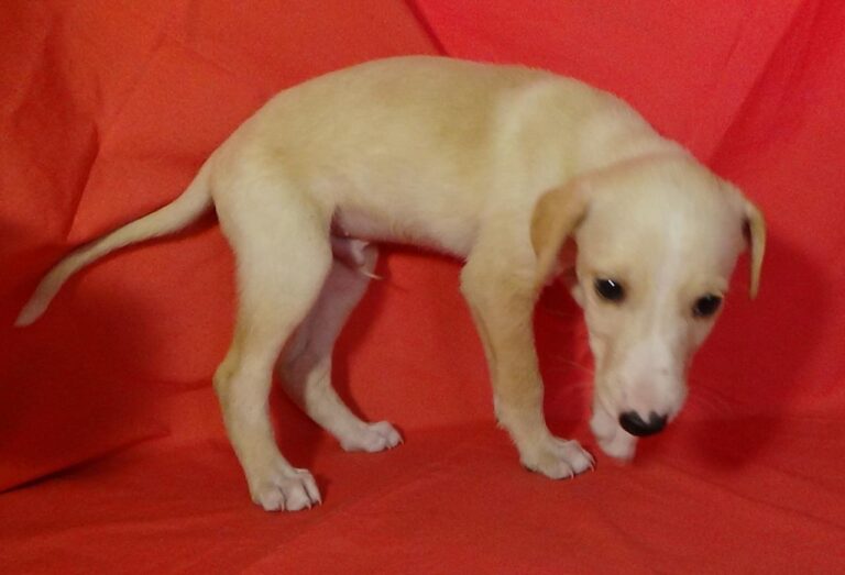 multimedia-foto40329-858-3