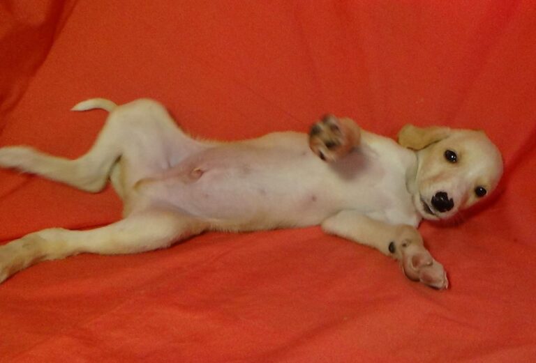 multimedia-foto40332-944-3