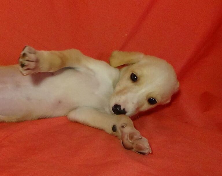 multimedia-foto40333-944-3