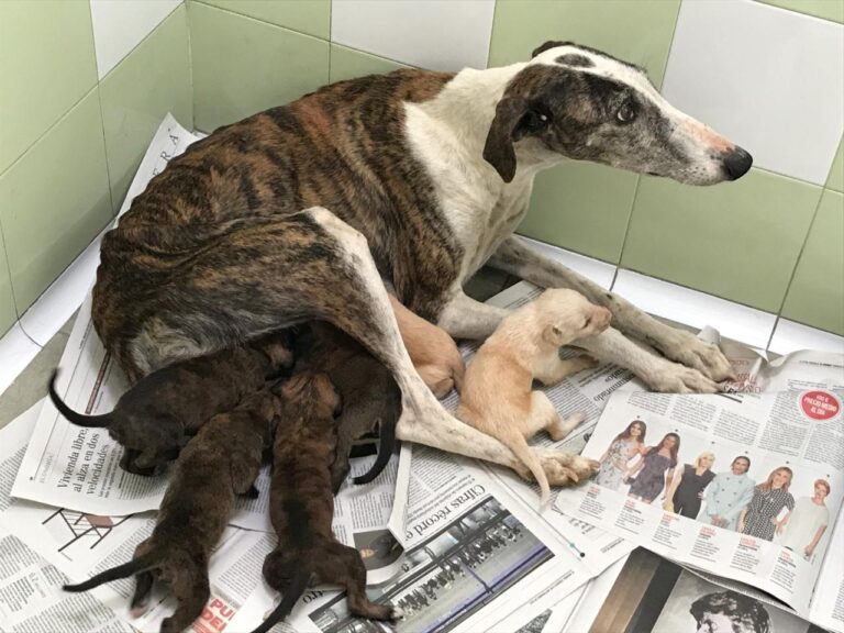 multimedia-foto40340-193-3