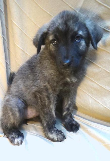 multimedia-foto40341-628-3