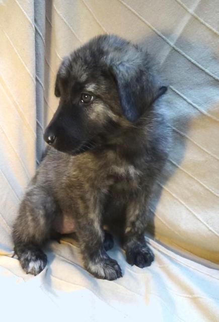 multimedia-foto40342-628-3