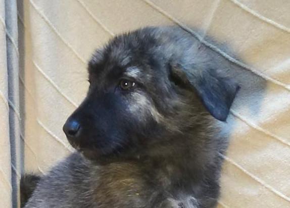 multimedia-foto40344-628-3