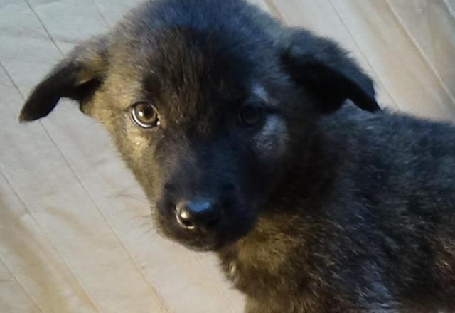 multimedia-foto40351-785-3