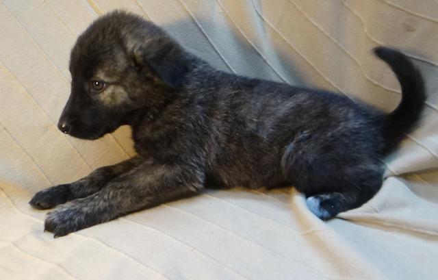 multimedia-foto40352-785-3