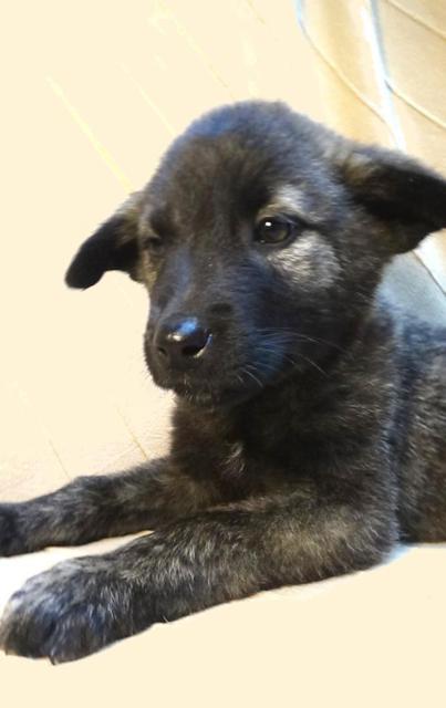 multimedia-foto40353-785-3