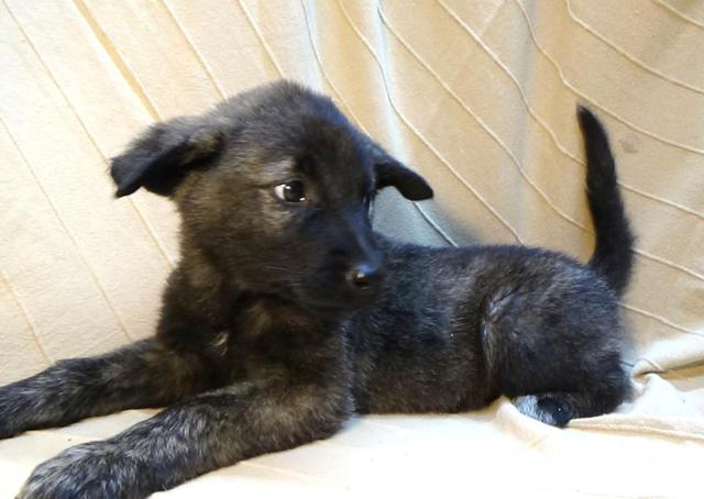 multimedia-foto40354-785-3