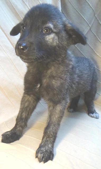 multimedia-foto40355-785-3