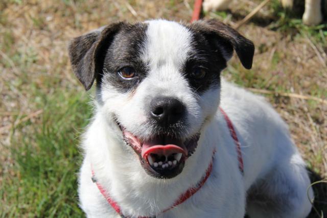 multimedia-foto40357-223-3