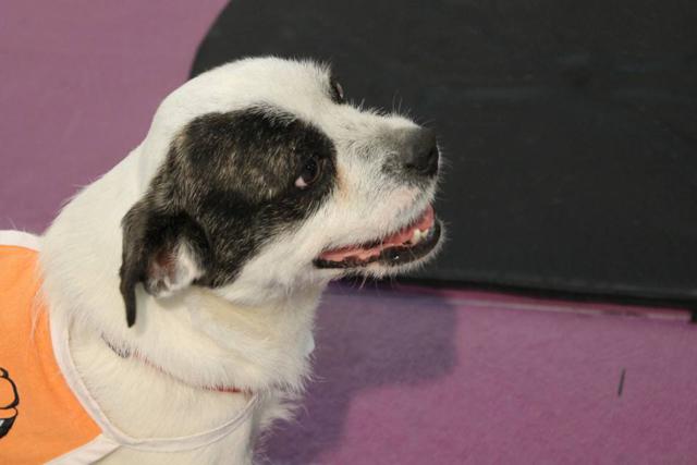 multimedia-foto40358-223-3