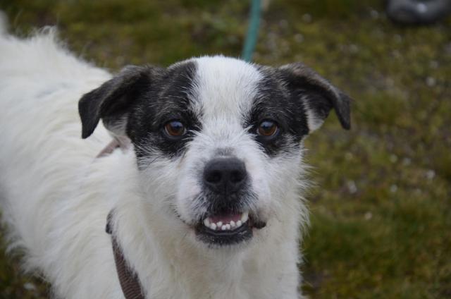 multimedia-foto40359-223-3