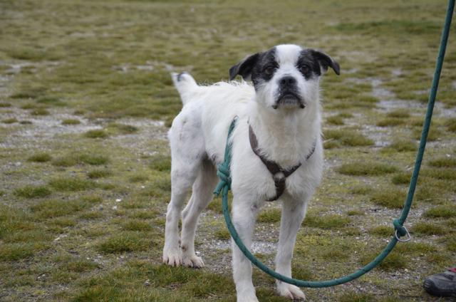 multimedia-foto40360-224-3