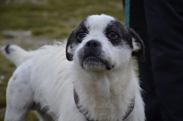 multimedia-foto40361-224-3