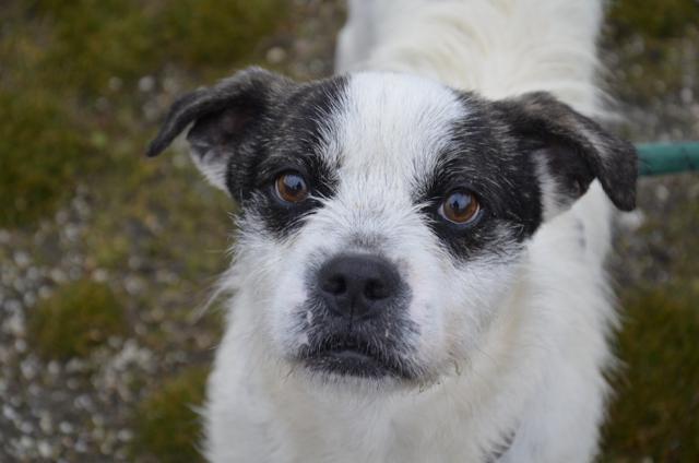 multimedia-foto40362-224-3