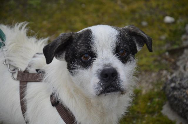 multimedia-foto40364-224-3