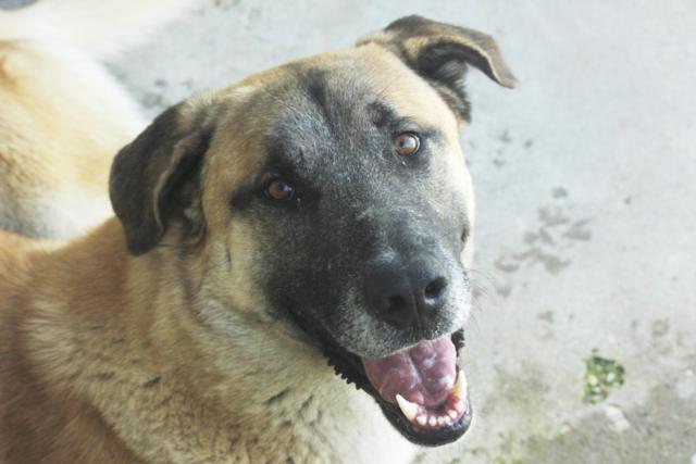 multimedia-foto40407-584-3