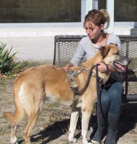 multimedia-foto40408-585-3