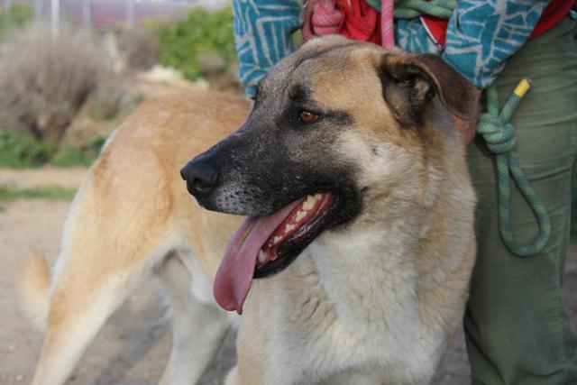 multimedia-foto40409-585-3