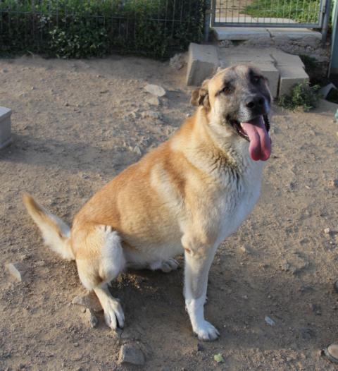 multimedia-foto40410-671-3