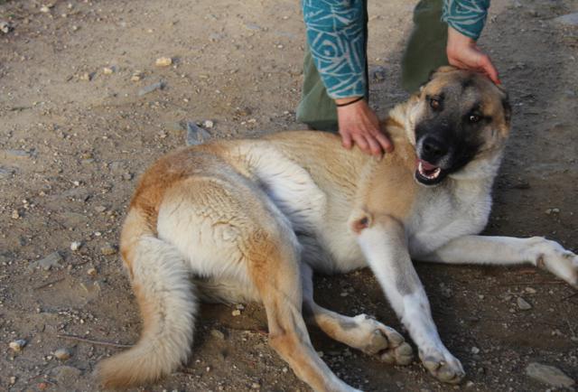 multimedia-foto40411-671-3