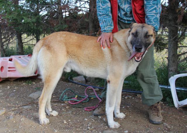 multimedia-foto40412-718-3