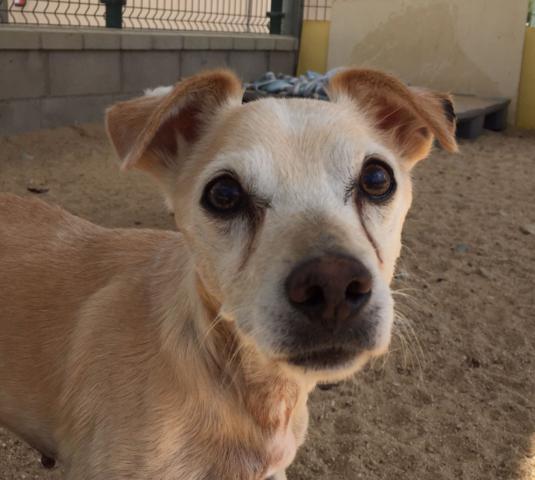 multimedia-foto40414-606-3