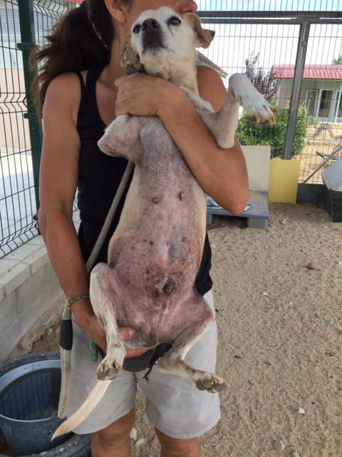 multimedia-foto40415-606-3