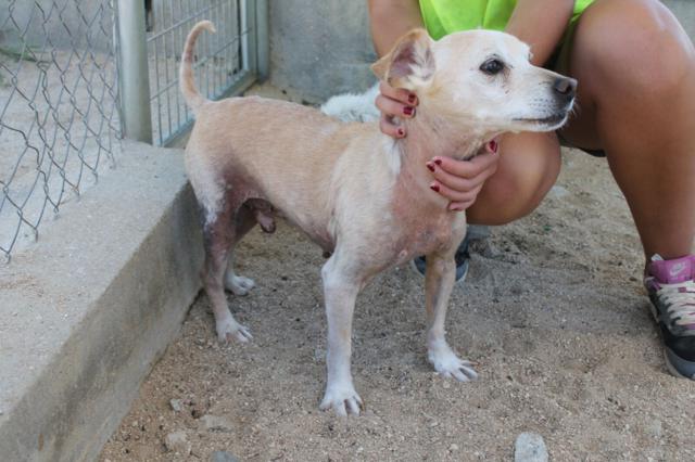 multimedia-foto40416-606-3