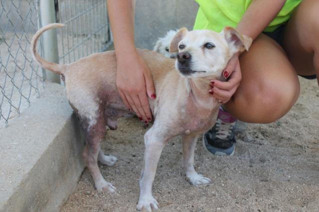 multimedia-foto40417-606-3