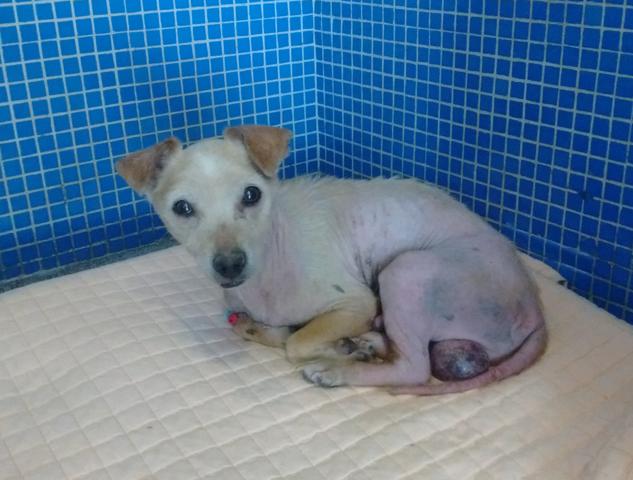 multimedia-foto40418-606-3