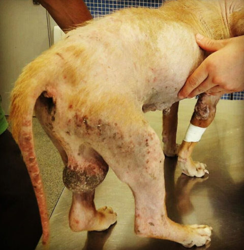 multimedia-foto40419-606-3