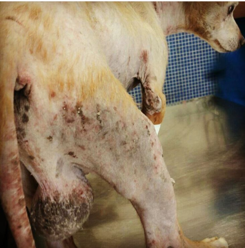 multimedia-foto40420-607-3