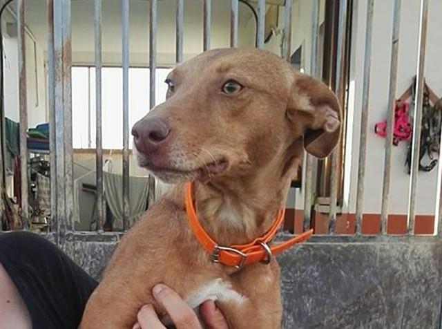 multimedia-foto40422-354-3