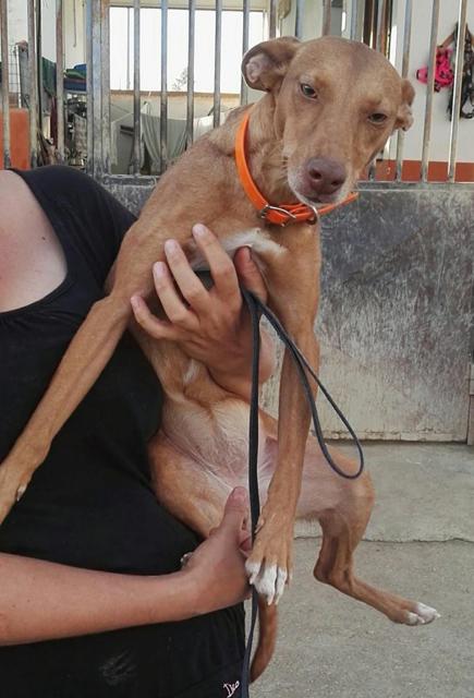 multimedia-foto40423-354-3